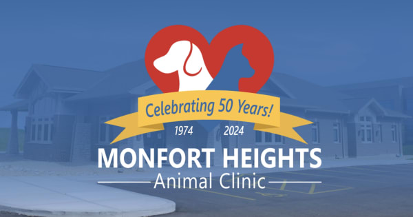 Monfort Heights Animal Clinic