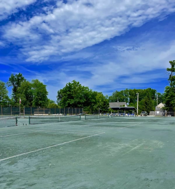 The Tennis Club
