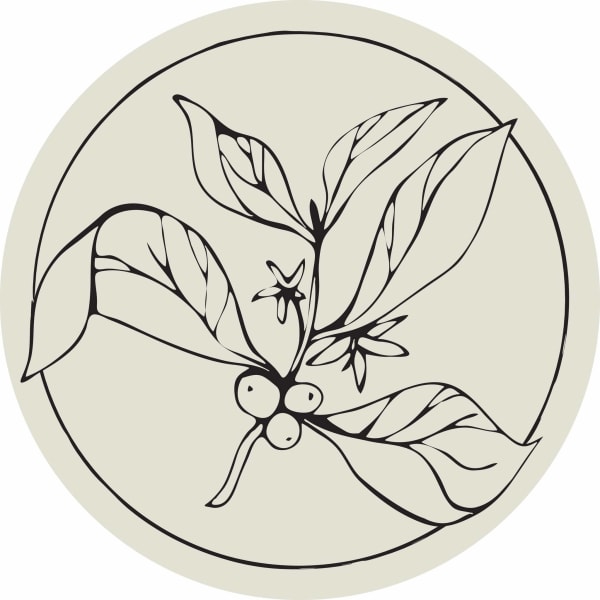Emilie's Coffee House & Wine Bar