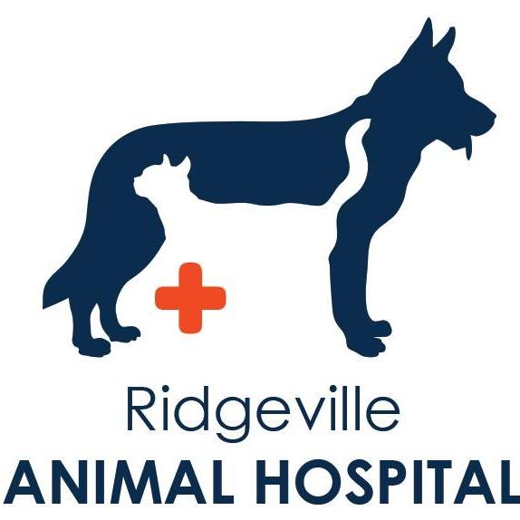 Ridgeville Animal Hospital