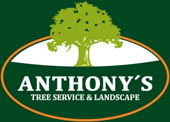 Anthony’s Tree Service & Landscape
