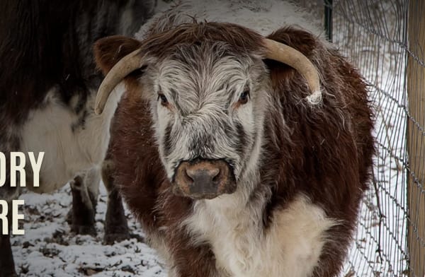 Conner Prairie — Indiana’s Living History Museum