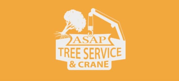 ASAP Tree and Crane Services