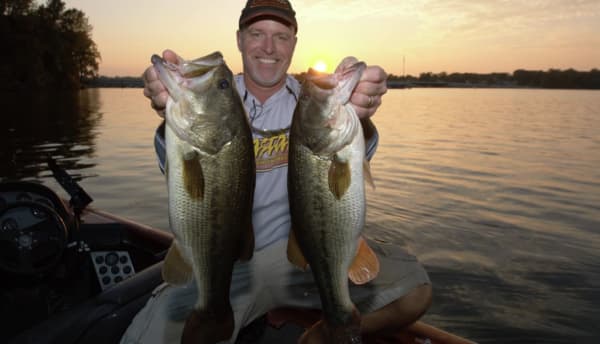 Raptor Lures