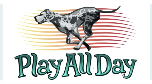 Play All Day Doggie Daycare and Boarding