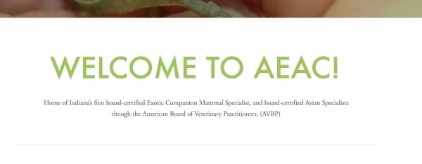Avian & Exotic Animal Clinic