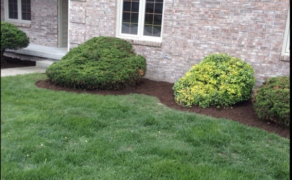 Harris & Son’s Landscaping LLC
