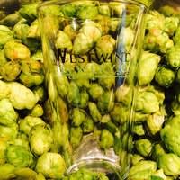 Westwind Brewery Co.