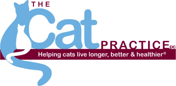 The Cat Practice