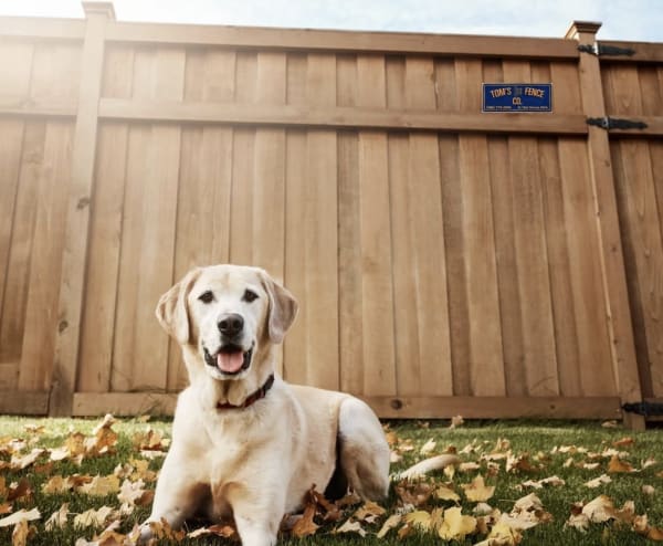 Tom's Fence Company