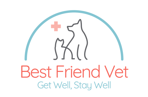 Best Friend Vet
