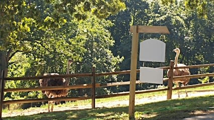 Canter Hill Farm