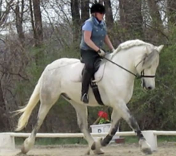 Coventry Equestrian Center