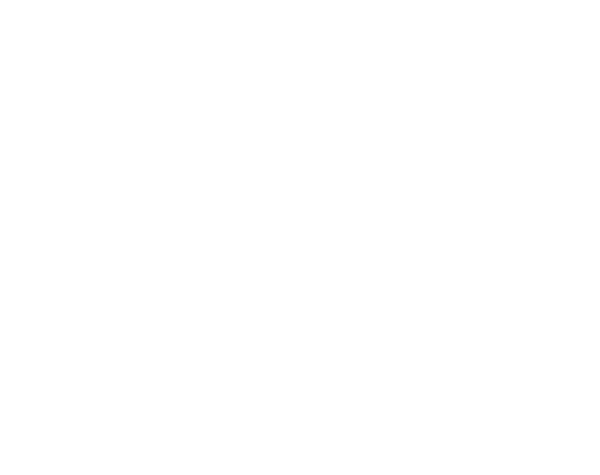 South Street Bridge Window Tinting & Vehicle Wraps