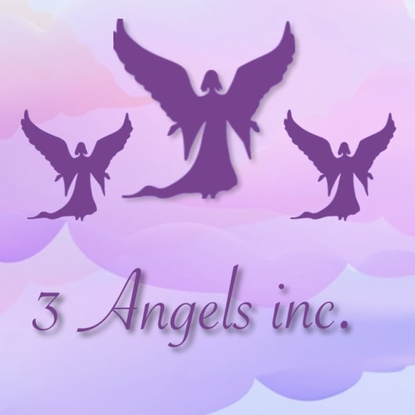 3 Angels Inc.