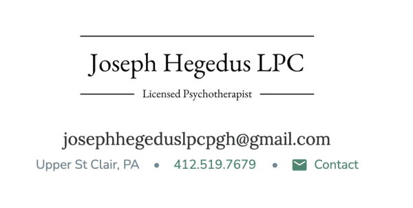  Joseph Hegedus LPC