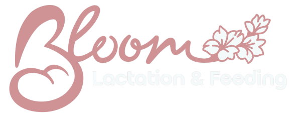 Bloom Lactation & Feeding