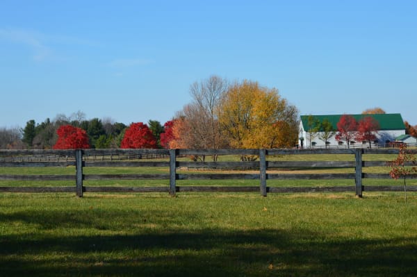 Peninsula Farm