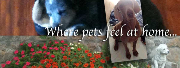 Pet Companions Country Inn