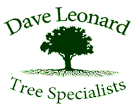 Dave Leonard Tree Specialists