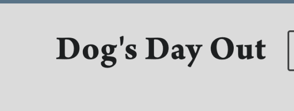 Dog's Day Out