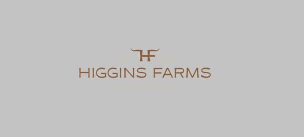 Higgins Farms Longhorns