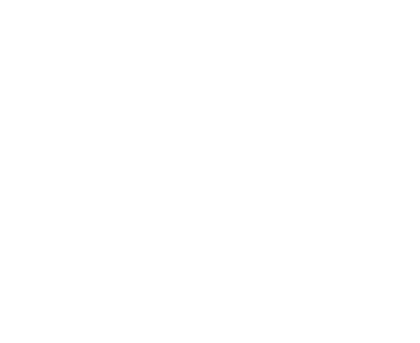 Mountaineer Roasting Co. Coffee & Bar