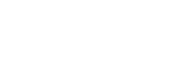 ZLA Hair