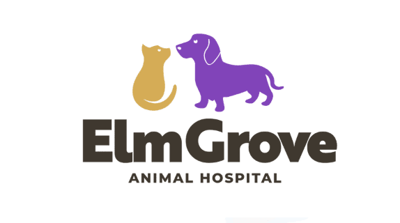 Elm Grove Animal Hospital