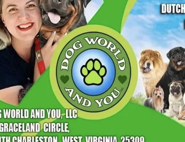 Dog World and You LLC
