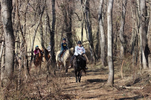 Canter Point Stables