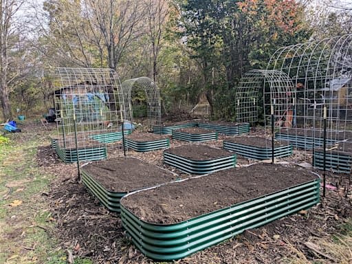 Kitchen Gardening Part 2