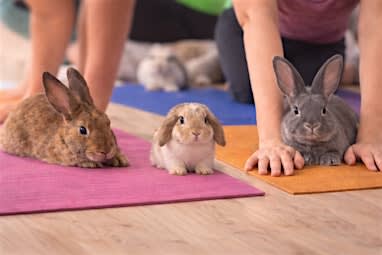 Bunny Yoga (Mommy & Me)
