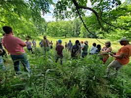 Silvopasture Tour: Krusling Farm