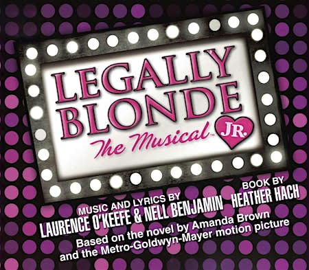 Legally Blonde Jr. Musical presented by Wexford Acting Studio