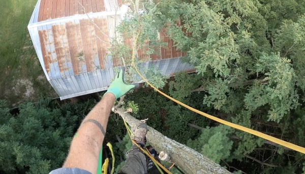 High Climber Tree Service