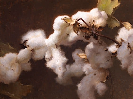 Grace DeVito-Painting the Organic Still Life