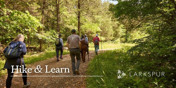 Larkspur Hike and Learn