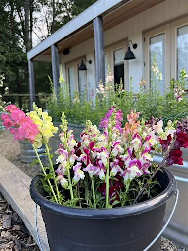 Beer & Blooms: Peak Summer Flowers Edition (2026)