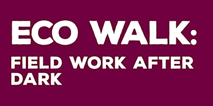 Eco Walk: Field Work After Dark