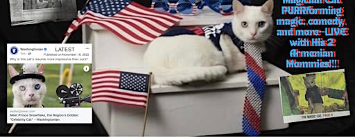 Prince Snowflake,The Celebrity Cat, 250th USA PURRtacular CelePURRbration
