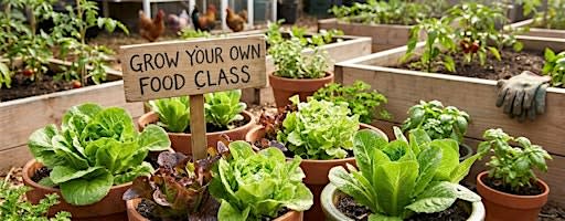 Growing Greens - Grow Your Own Food Series