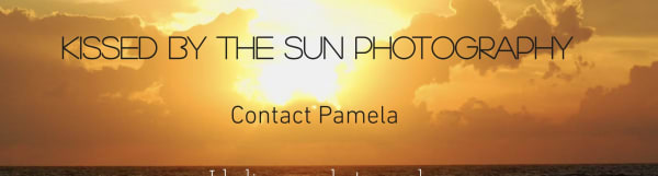 Kissed by the Sun Photography