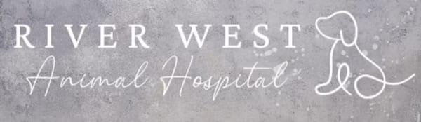 River West Animal Hospital