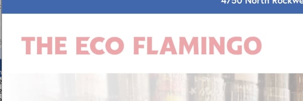 The Eco Flamingo