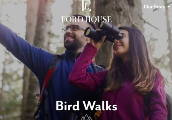 Bird Walks