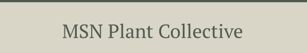  MSN Plant Collective