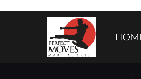 Perfect Moves Martial Arts