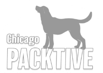 Chicago Packtive