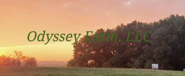 Odyssey Farm, LLC 